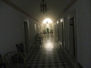 IMG 1493