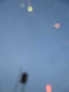 IMG 2976