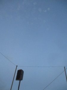 IMG 2981